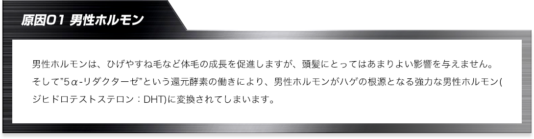 男性ホルモンは、ひげやすね毛など体毛の成⻑を促進しますが、頭髪にとってはあまりよい影響を与えません。そして”5α-リダクターゼ”という還元酵素の働きにより、男性ホルモンがハゲの根源となる強力な男性ホルモン(ジヒドロテストステロン：DHT)に変換されてしまいます。