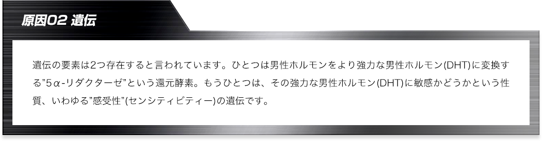 遺伝の要素は2つ存在すると言われています。ひとつは男性ホルモンをより強力な男性ホルモン(DHT)に変換する”5α-リダクターゼ”という還元酵素。もうひとつは、その強力な男性ホルモン(DHT)に敏感かどうかという性質、いわゆる”感受性”(センシティビティー)の遺伝です。