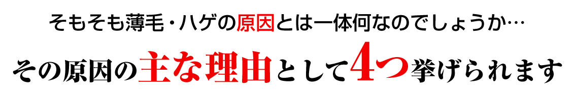 そもそも薄毛・ハゲの原因とは一体何なのでしょうか… その原因の主な理由として4つ挙げられます